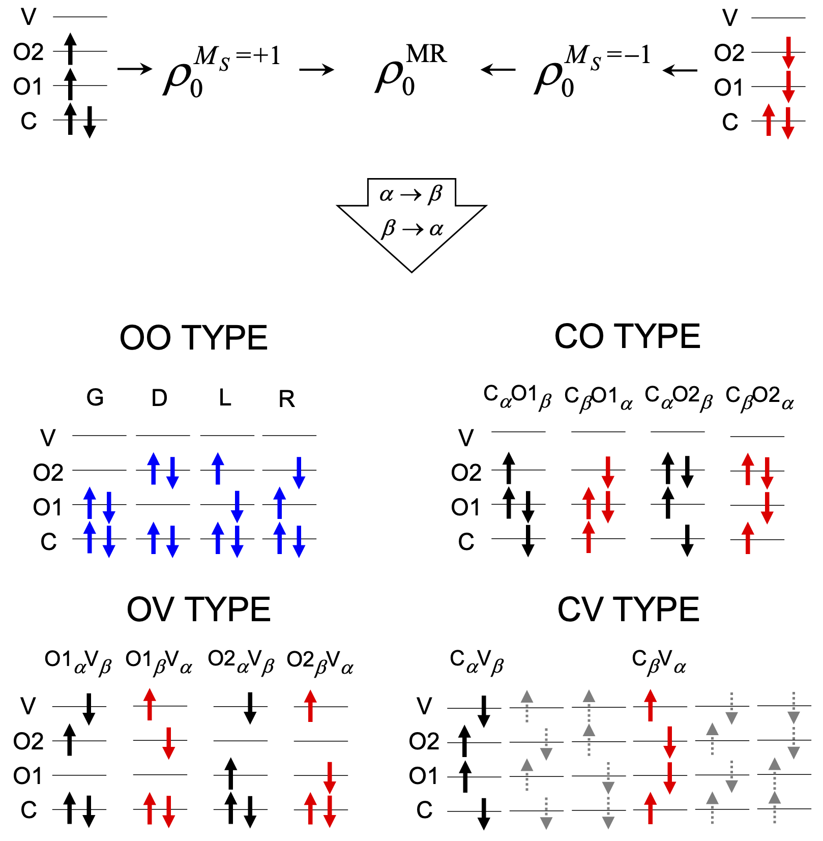 Comparison of SF and MRSF reference densities and response configurations