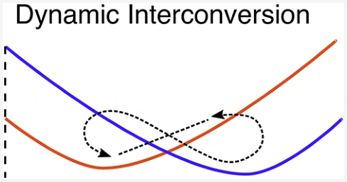 Graphical abstract for Geometry-Sensitive State Ordering and Internal Conversion Equilibrium of Polyenes and Carotenoids