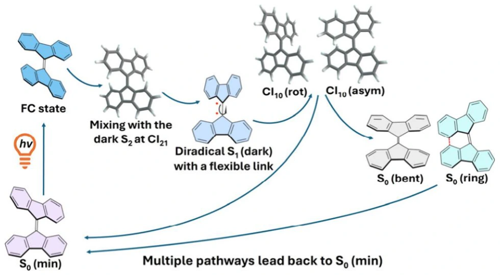 Graphical abstract for Complex and Unusual Excited-State Relaxation Dynamics of 9,9'-Bifluorenylidene Revealed by Comprehensive Time-Resolved Spectroscopy and MRSF-TDDFT Calculations