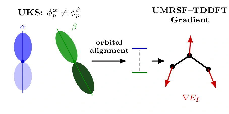 Unrestricted orbital alignment and analytic molecular energy gradients
